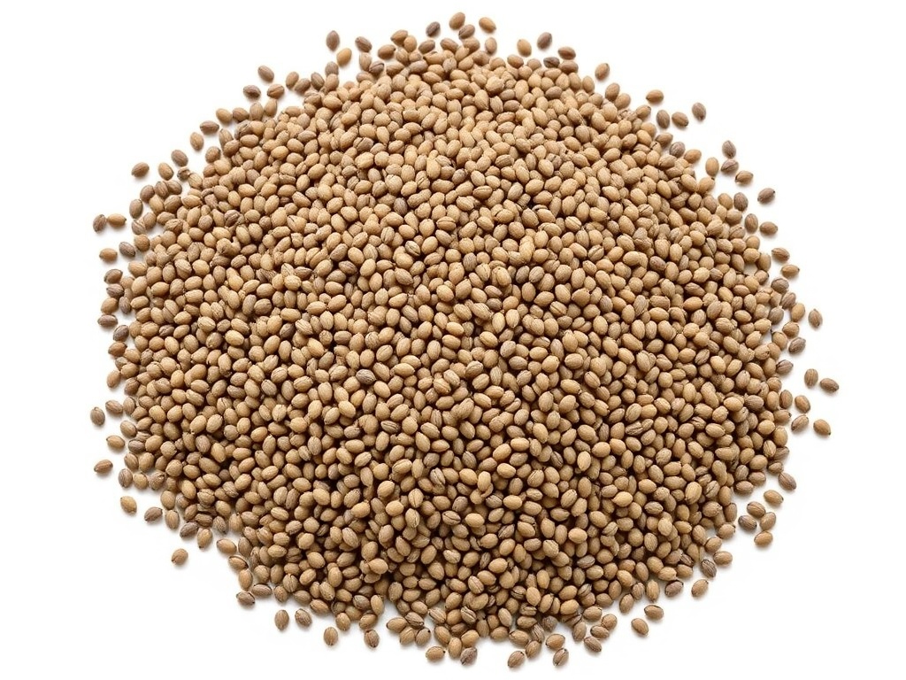 Organic Chia Seeds